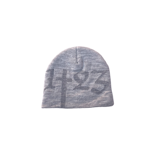 WON GREY BEANIE